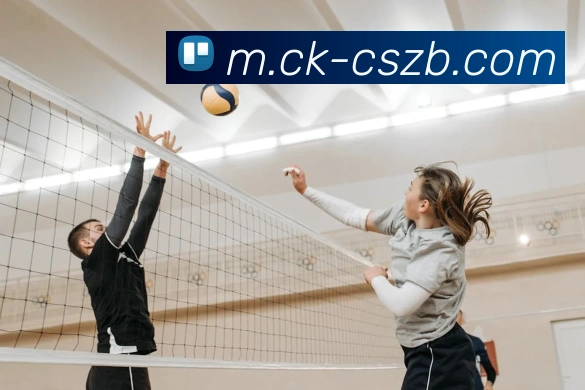 彩神争霸服务体系